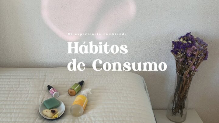 Descubre cómo adoptar hábitos de consumo consciente y minimalismo en tu día a día
